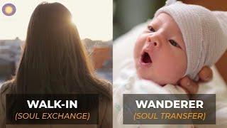 Wanderer Souls VS Walk In Souls - What's the Difference? - Law of One, Dr. Scott Mandelker, Ph.D.