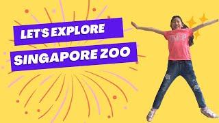 Healthy and Fun way to explore Singapore Zoo