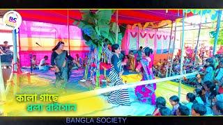 কালা গাছের ধলা রে বাইগু || kola gaser dhola baygon  || বেহুলা  জাত্রার মন জয় করা  নতুন গান