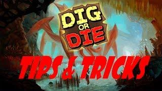 TIPS AND TRICKS- Dig Or Die