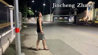 Jincheng Zhang - Vinegar (1 Hour, Instrumental Song, Background Music, Official Music Video)