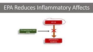 Omega 3 inflammation