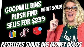 Goodwill BINS Plush Sells for $239 Resellers Share What Sold 2024