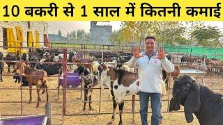 10 बकरी से खर्चा और कमाई | 10 Bakri se kitni kamai hoti hai | How To Start Goat Farming