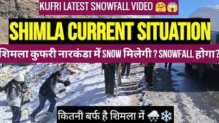 Shimla current situation update on 4 jan | Shimla snowfall today | Snow | Kufri | Narkanda