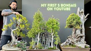 My first 5 Bonsais on YouTube/ Juniper, Ficus, Crassula ovata