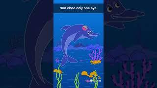 Dolphins are always conscious while sleeping | Interesting Facts | Embibe