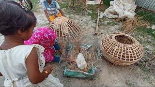 আমরা সবাই কেনো বার বার বিপদের সম্মুখীন হচ্ছি । village life with jui