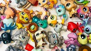 Все про все игрушки LPS / Littlest Pet Shop старая коллекция