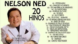 AS 20 MELHORES DO CANTOR NELSON NED