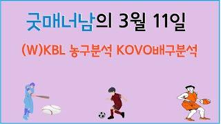 3월 11일 kbl분석 , kovo분석 , 스포츠분석 , 프로토분석 , 배구분석 , 농구분석