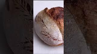 베이직 사워도우 만들기 Basic Sourdough