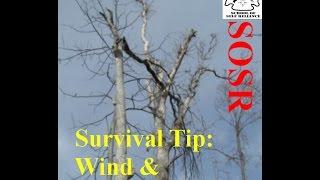 Survival Tip- Wind & Widowmakers