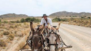 Traveling with Donkeys