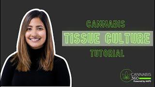 Cannabis Tissue Culture Tutorial