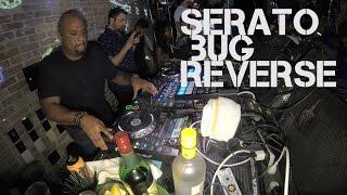 Ammmo 8 - The Serato Bug - Reverse