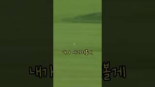 내 공이 자꾸만 사라진 이유 #골프 #golf