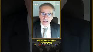 Israel-Iran War: IAEA Chief Urges Israel and Iran to Return to a 'Path of Peace' | WION Shorts
