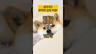 간절기 급추위! 면역력 강화 3가지 비법