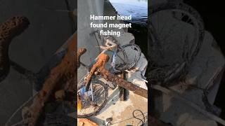 hammer head #found #magnetfishing #magnetfishingbestfinds #treasure #tools #fyp @ferrousfishing