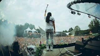 Steve Aoki Live At Tomorrowland 2014 - Dim Mak Stage Set