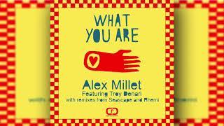 Alex Millet Featuring Troy Denari - What You Are (Tropical Instrumental)