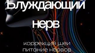 Блуждающий нерв - урок #8 - улучшаем питание черепных нервов, расслабляем мышцы шеи.