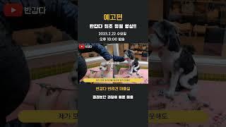 #반려견미용 #강아지미용 #반갑다 #이기명