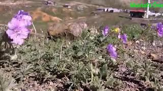 Dipsiz Göl,Sarıot yaylası,Keklicek yaylası, BOZKIR..