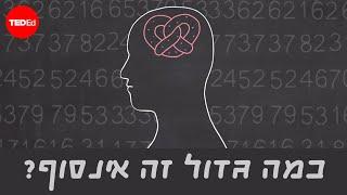 כמה גדול האינסוף? - דניס ווילדפוגל