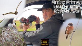 Elmley Nature Reserve Late Opening 13th October part 2. Canon R7 & RF 200-800mm. 4K.