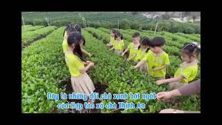 Trẻ 5-6 tuổi  A1MN Sông Cầu-Huyện Đồng Hỷ giới thiệu về nghề chè  TT Sông Cầu bằng tiếng Anh