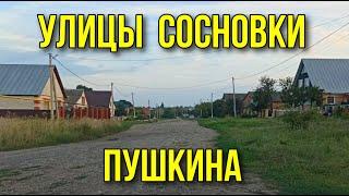 Улица Пушкина в посёлке Сосновка Тамбовской области