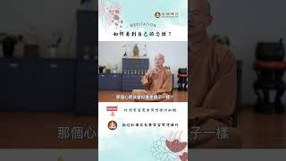 如何看到自己的念頭? |  訂閱免費學習冥想| 歡迎線下來菩提禪苑免費學習冥想| What is meditation? Learn meditation #冥想 #meditation