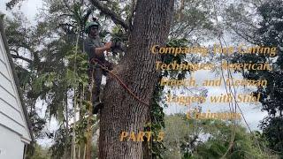 Comparing Tree Cutting Techniques: American, French, and German Loggers with Stihl Chainsaws Part.12