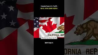 Canada's 25% Tariff Crisis Explained