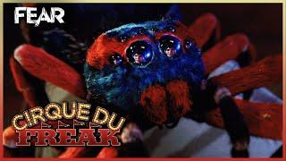 Giant Vampire's Spider | Cirque du Freak: The Vampire's Assistant | Fear