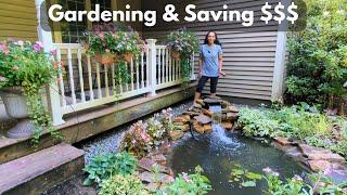 How To Save Money & Garden On A Budget 