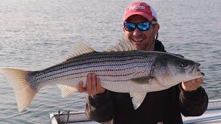 Striped Bass Fishing in MAINE. Catch and Cook Grilled Striper.