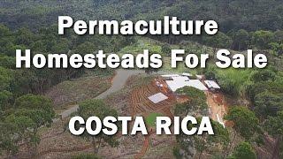 Permaculture Homesteads for sale in Regenerative Neighborhood~ COSTA RICA