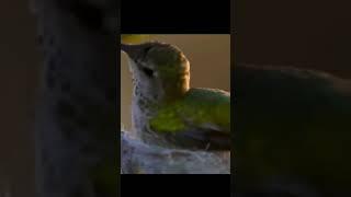 ١١ فبراير ٢٠٢٣(5)