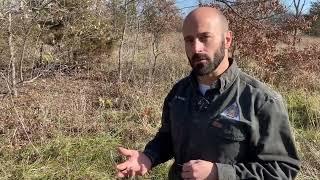 Habitat Hints: Invasive Autumn Olive