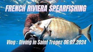 Recording my dive in Saint Tropez, White Sea Bream, Mullets, Moray Eel Seen (Vlog 06.07.2024)