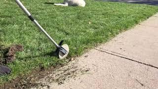 Rolling Lawn Edger