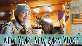 New Year, New Barn Vlog!! •• Barn Chores & Baby Thoroughbred Things // EQUESTRIAN VLOG