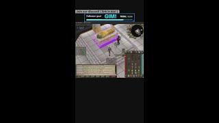 PURPLE! Our First Purple As Duo's TOA! GIMS