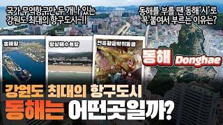 [동해] 강원도 최대의 항구도시 동해시는 어떤 곳일까? 자세하게 알아보자!