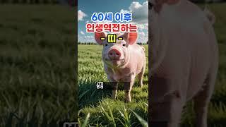 60세 이후 인생역전하는 띠 #로또 #재물운 #띠별운세 #오늘의운세 #타로 #신점