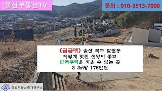 [울산부동산TV] 울산 북구 달천동 단독주택지 3.3㎡당 176만원 완전 급매 소식입니다.