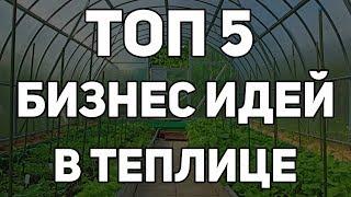 ТОП 5 ПРИБЫЛЬНЫХ БИЗНЕС ИДЕЙ ВЫРАЩИВАНИЯ В ТЕПЛИЦЕ / ТЕПЛИЧНЫЙ БИЗНЕС 2019